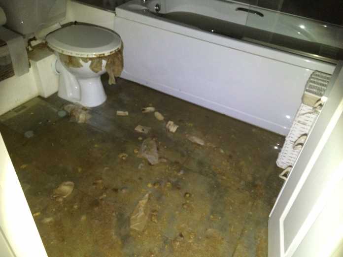 Bin The Wipe. Internal sewage flooding.