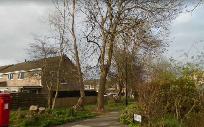 Screenshot 2020-04-08 at 11.48.39