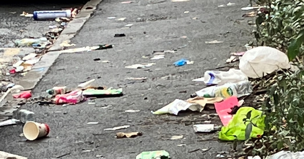 Further roll out of anti litter cameras Asian Standard